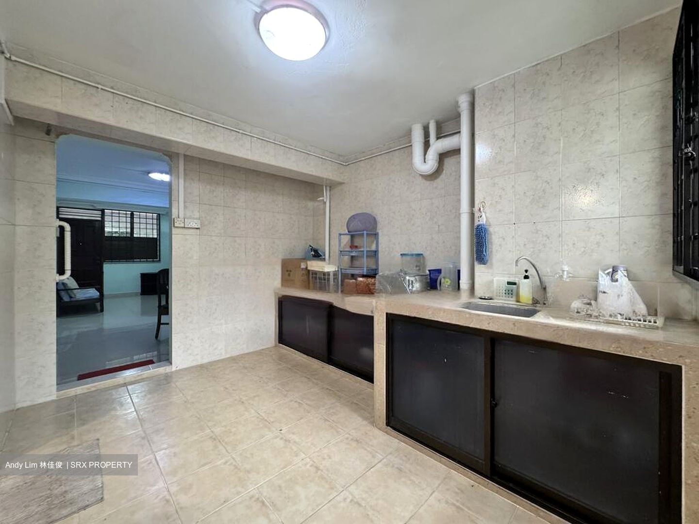 Blk 209 Boon Lay Place (Jurong West), HDB 3 Rooms #587149871
